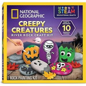National Geographic Creepy Creatures River Rock Craft Kit